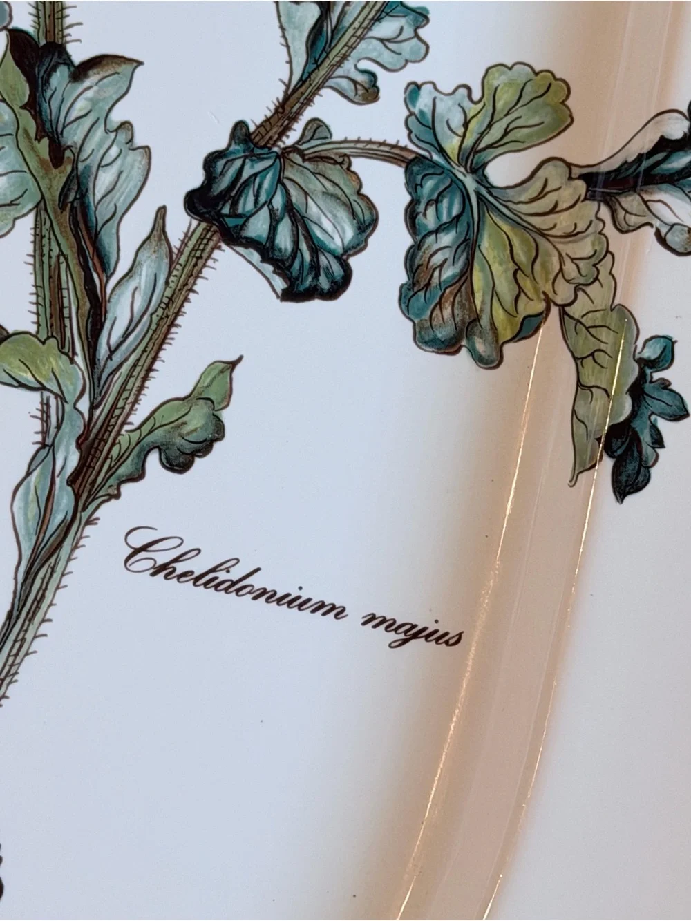 Villeroy & Boch Botanica CHELIDONIUM Oval Serving Platter 17 5/8